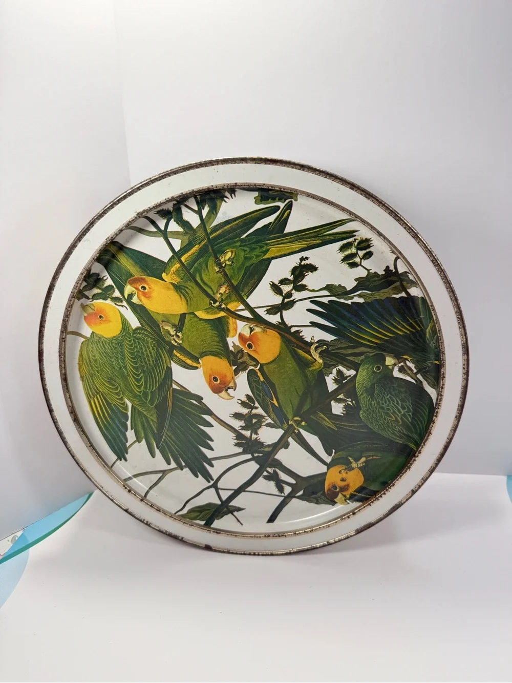 Vintage Sunshine Biscuits Carolina Parakeets Round Tin Storage-Distressed